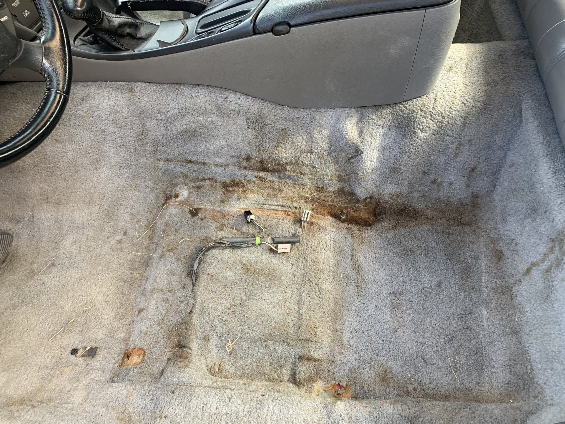 Simple Steps to Remove Rust Stains from Car Carpet